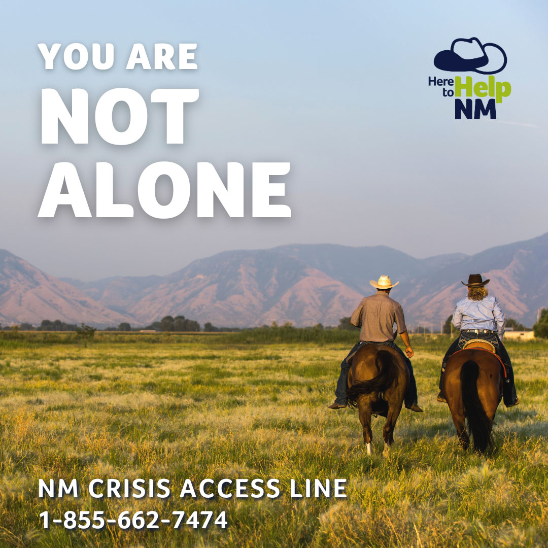 Here to Help graphic that states 'You are not alone'