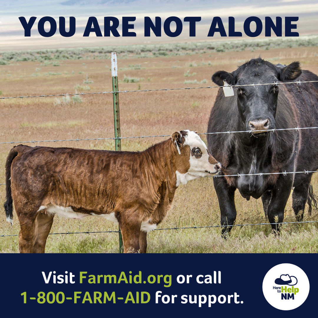 Here to Help graphic that states 'You are not Alone'