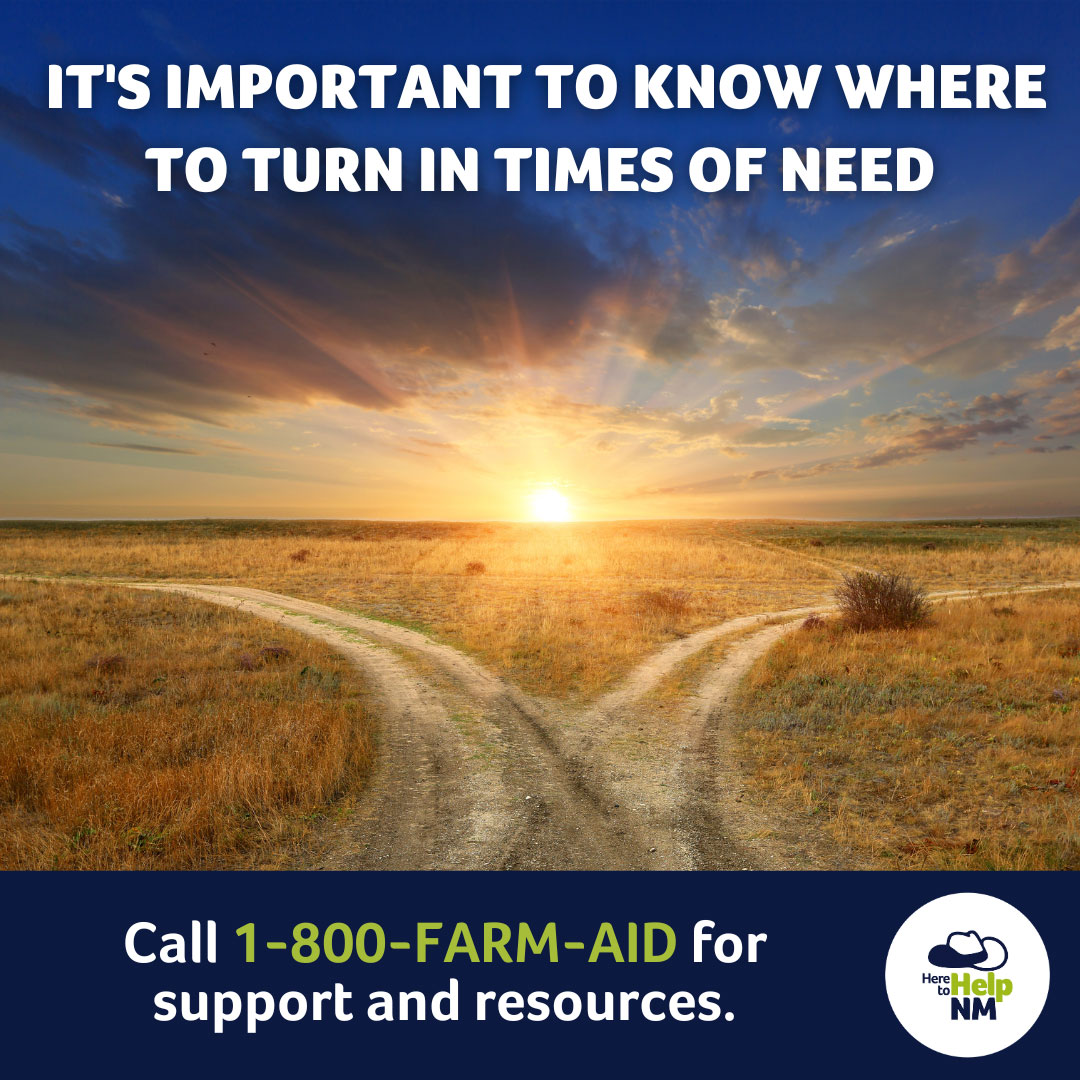 Here to Help graphic that states 'It's improtant to know where to turn in times of need'