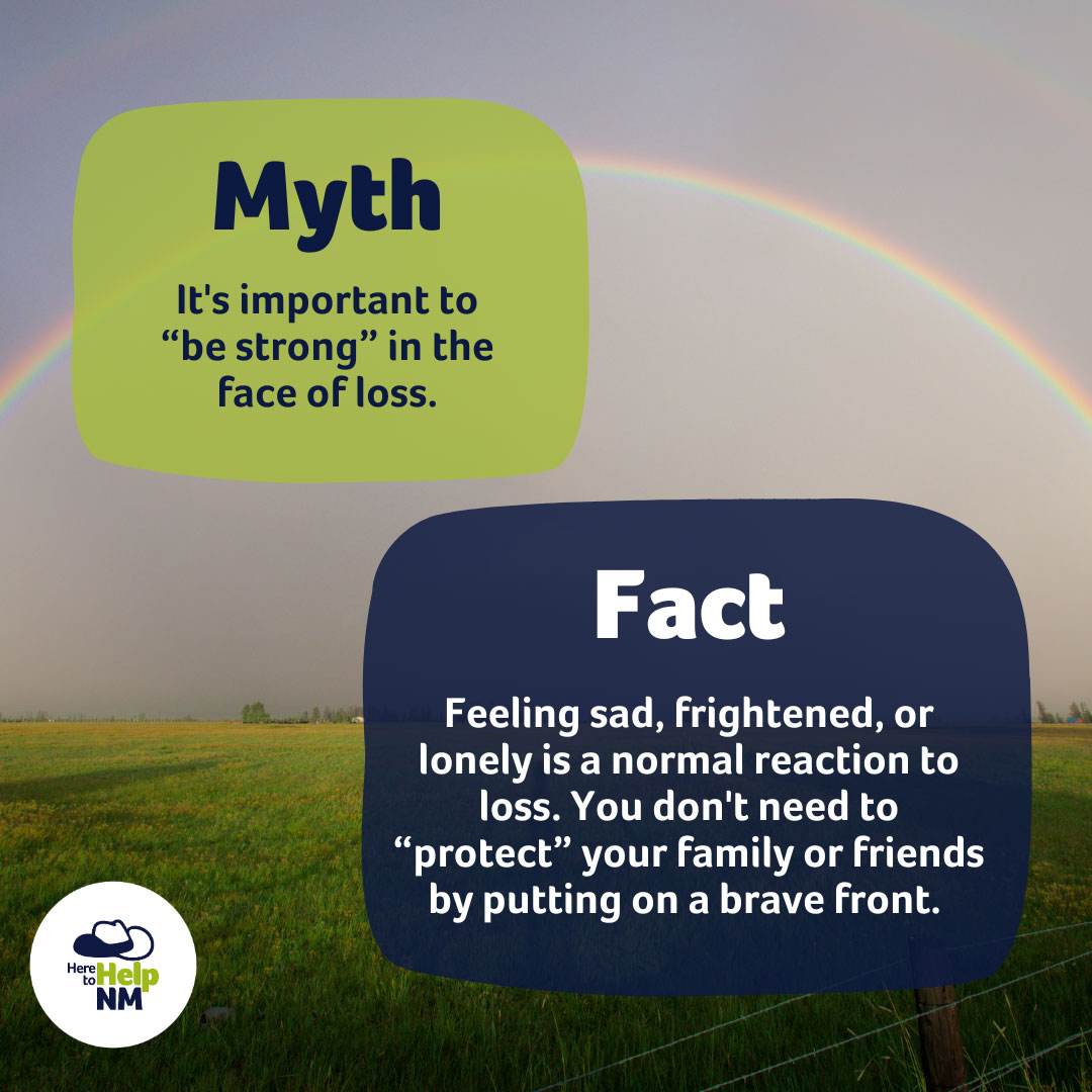 Here to Help graphic that states 'Feeling sad, frightened, or lonely is a normal reaction to loss.'