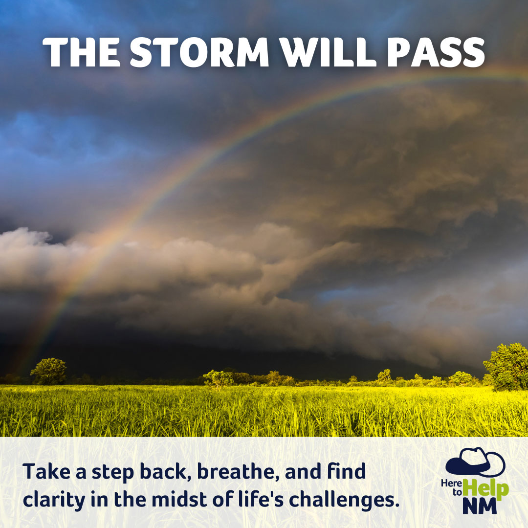 Here to Help graphic that states 'The storm will pass'
